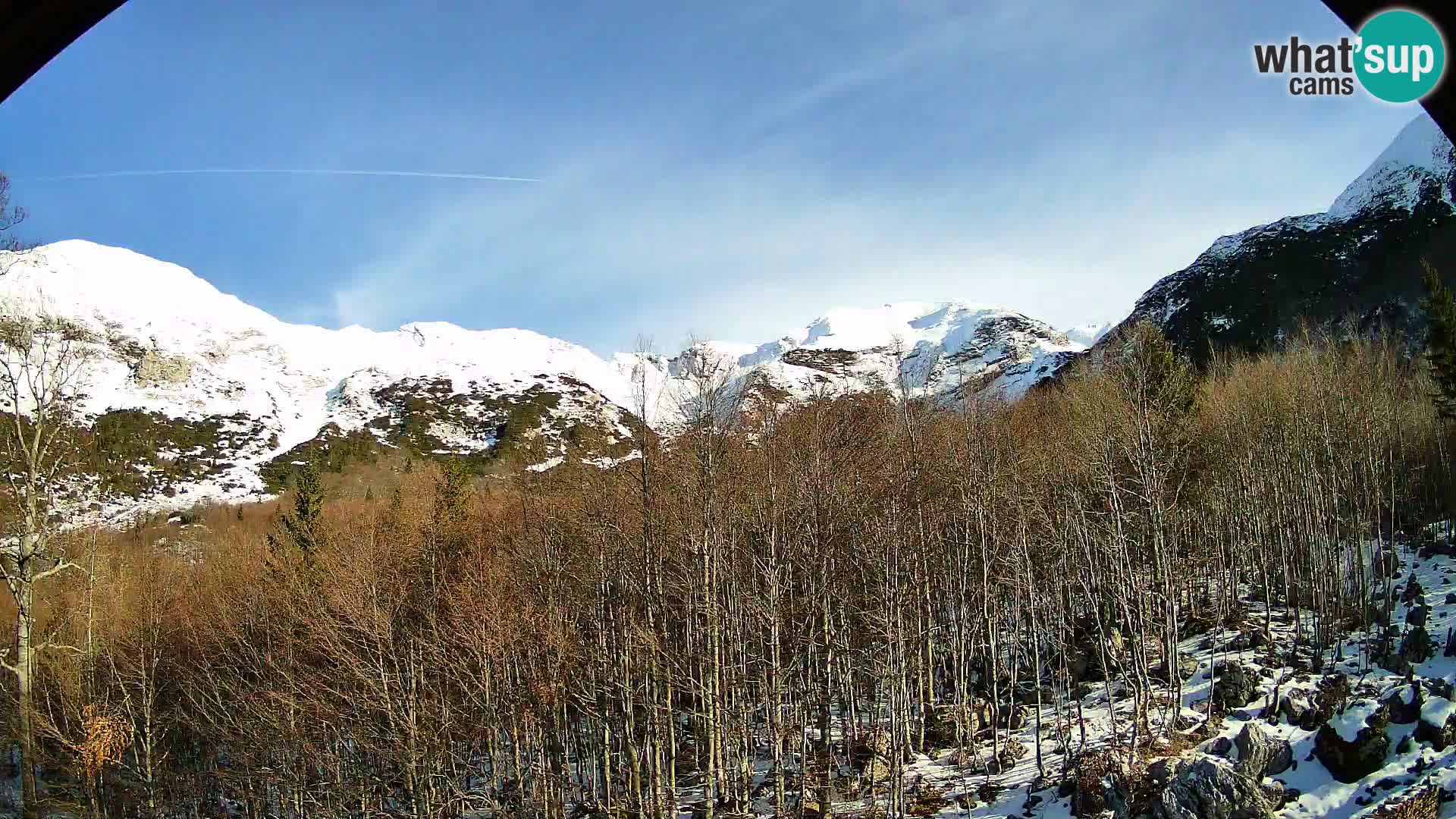 PLANINA RAZOR Live Cam (1315) | vista su Vogel e Globoko