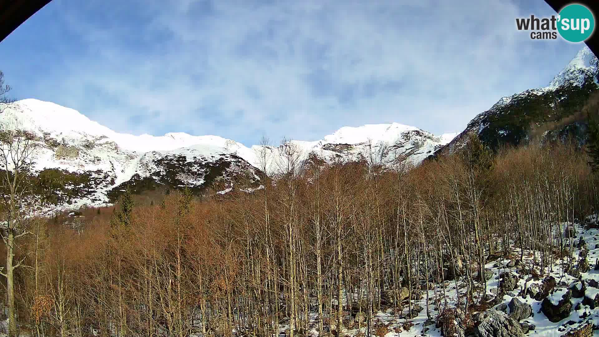 Livecam PLANINA RAZOR (1315) | vue sur Vogel et Globoko