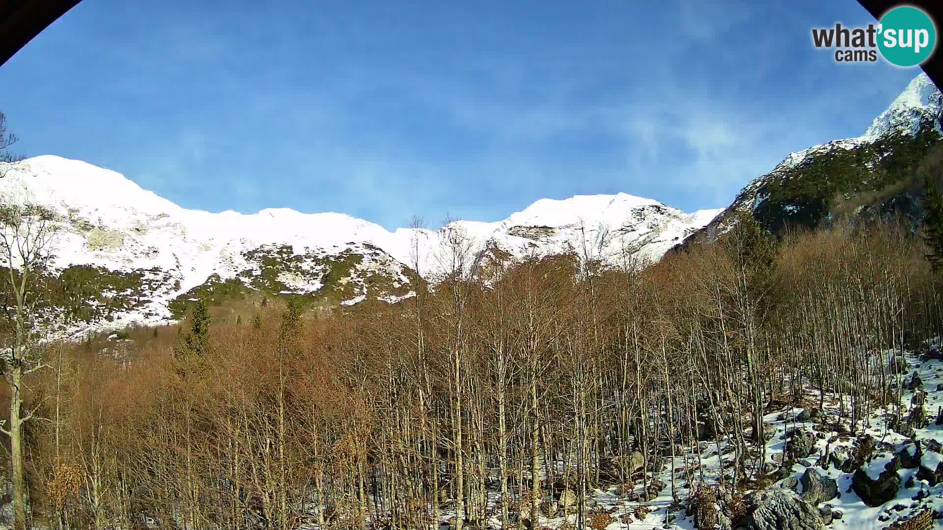 PLANINA RAZOR webcam (1315) | view to Vogel and Globoko