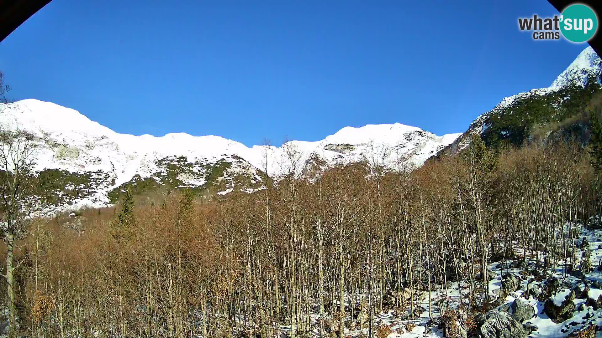 PLANINA RAZOR kamera (1315) | pogled na Vogel in Globoko
