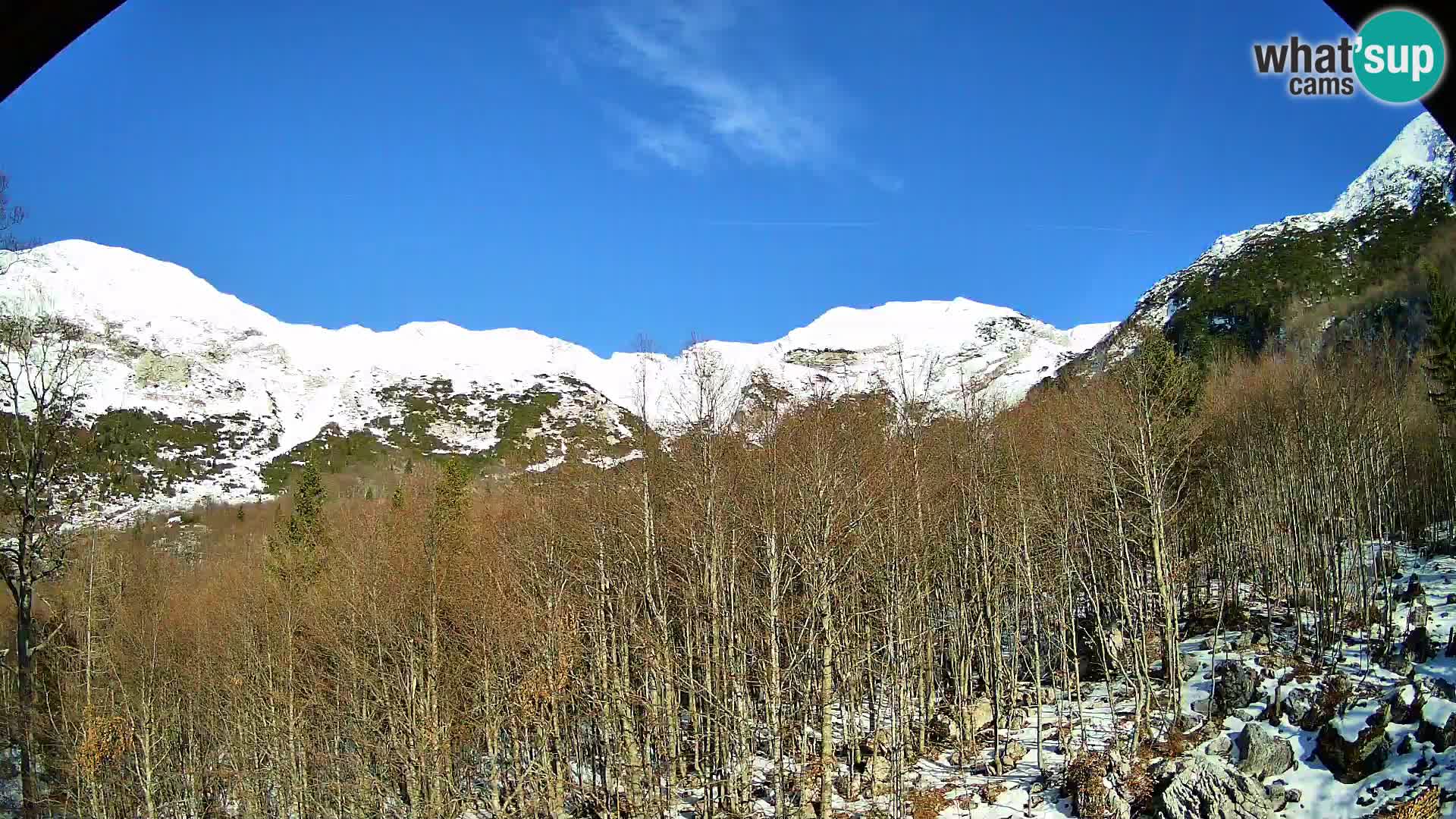 Webcam PLANINA RAZOR (1315) | Blick auf Vogel und Globoko