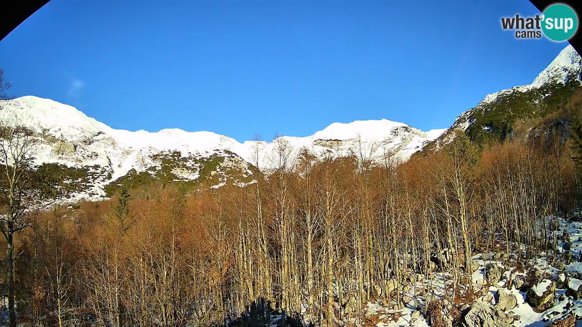 Livecam PLANINA RAZOR (1315) | vue sur Vogel et Globoko
