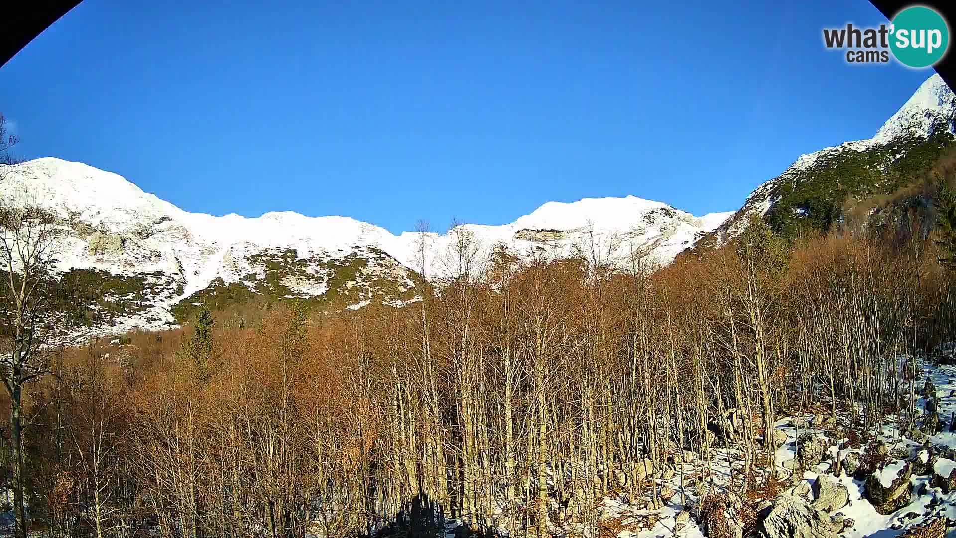 Livecam PLANINA RAZOR (1315) | vue sur Vogel et Globoko