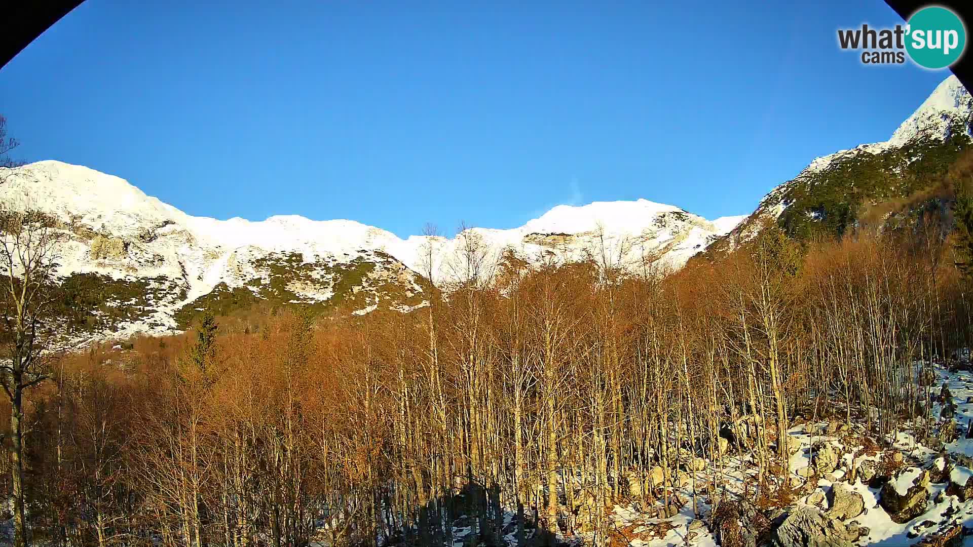 Cámara web PLANINA RAZOR (1315) | vista a Vogel y Globoko