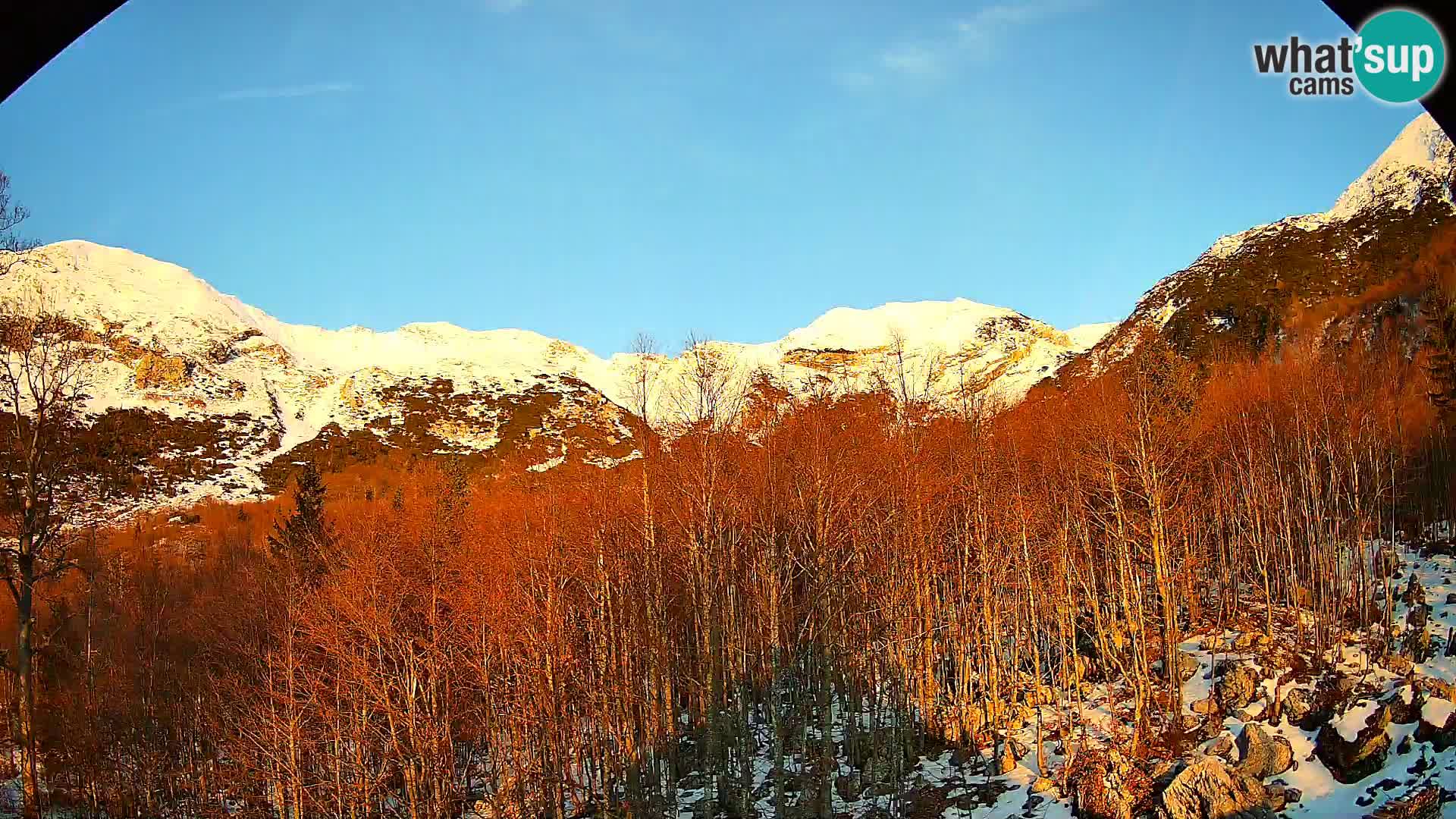 Livecam PLANINA RAZOR (1315) | vue sur Vogel et Globoko