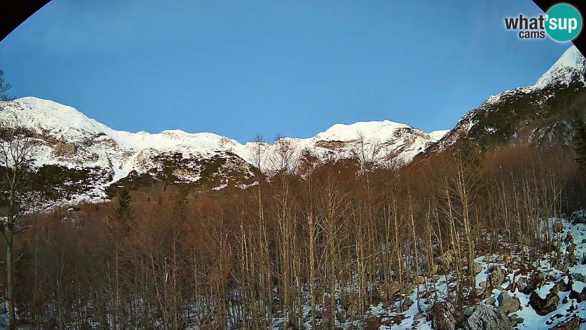 PLANINA RAZOR Live Cam (1315) | vista su Vogel e Globoko