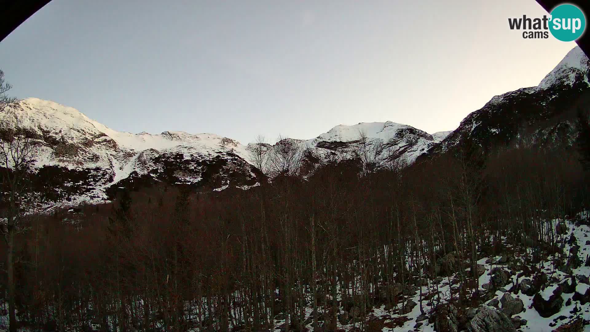 PLANINA RAZOR Live Cam (1315) | vista su Vogel e Globoko