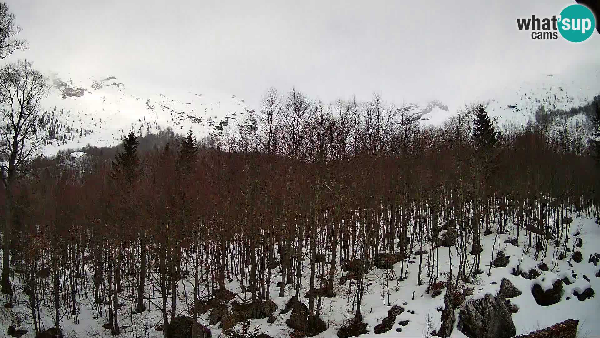 PLANINA RAZOR kamera (1315) | pogled na Vogel in Globoko