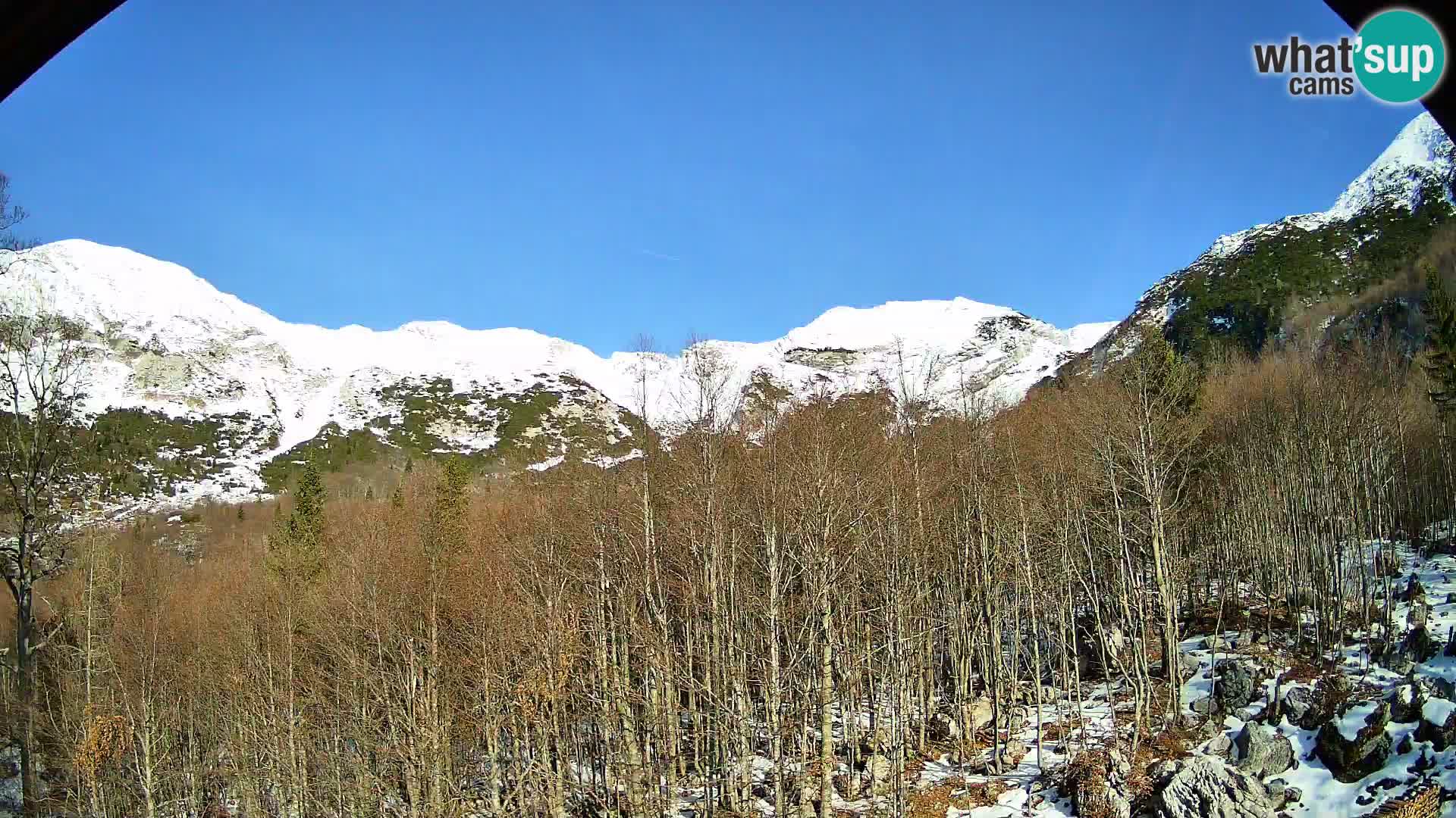 Livecam PLANINA RAZOR (1315) | vue sur Vogel et Globoko