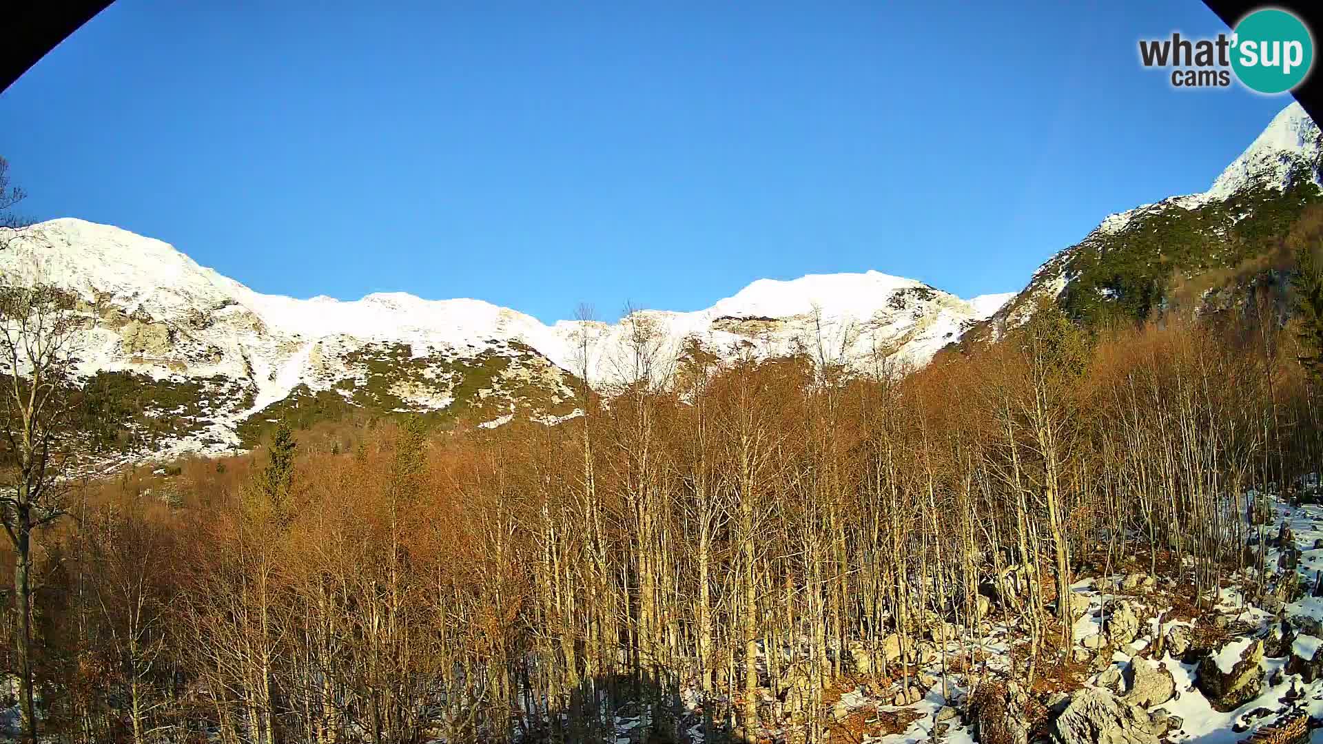 Livecam PLANINA RAZOR (1315) | vue sur Vogel et Globoko