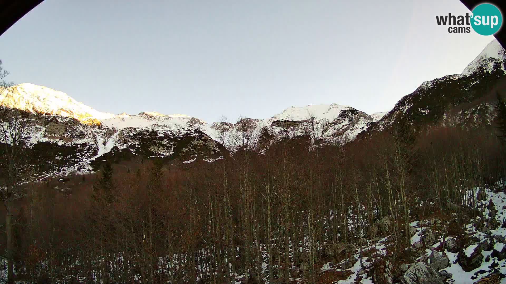 Livecam PLANINA RAZOR (1315) | vue sur Vogel et Globoko