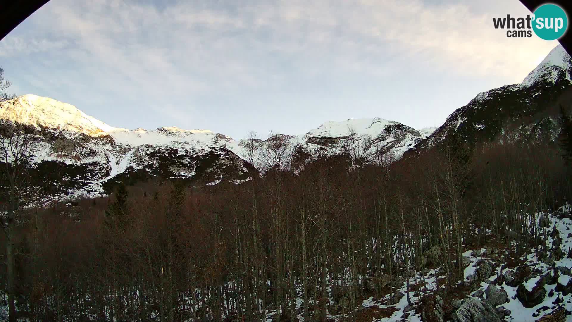 PLANINA RAZOR Live Cam (1315) | vista su Vogel e Globoko