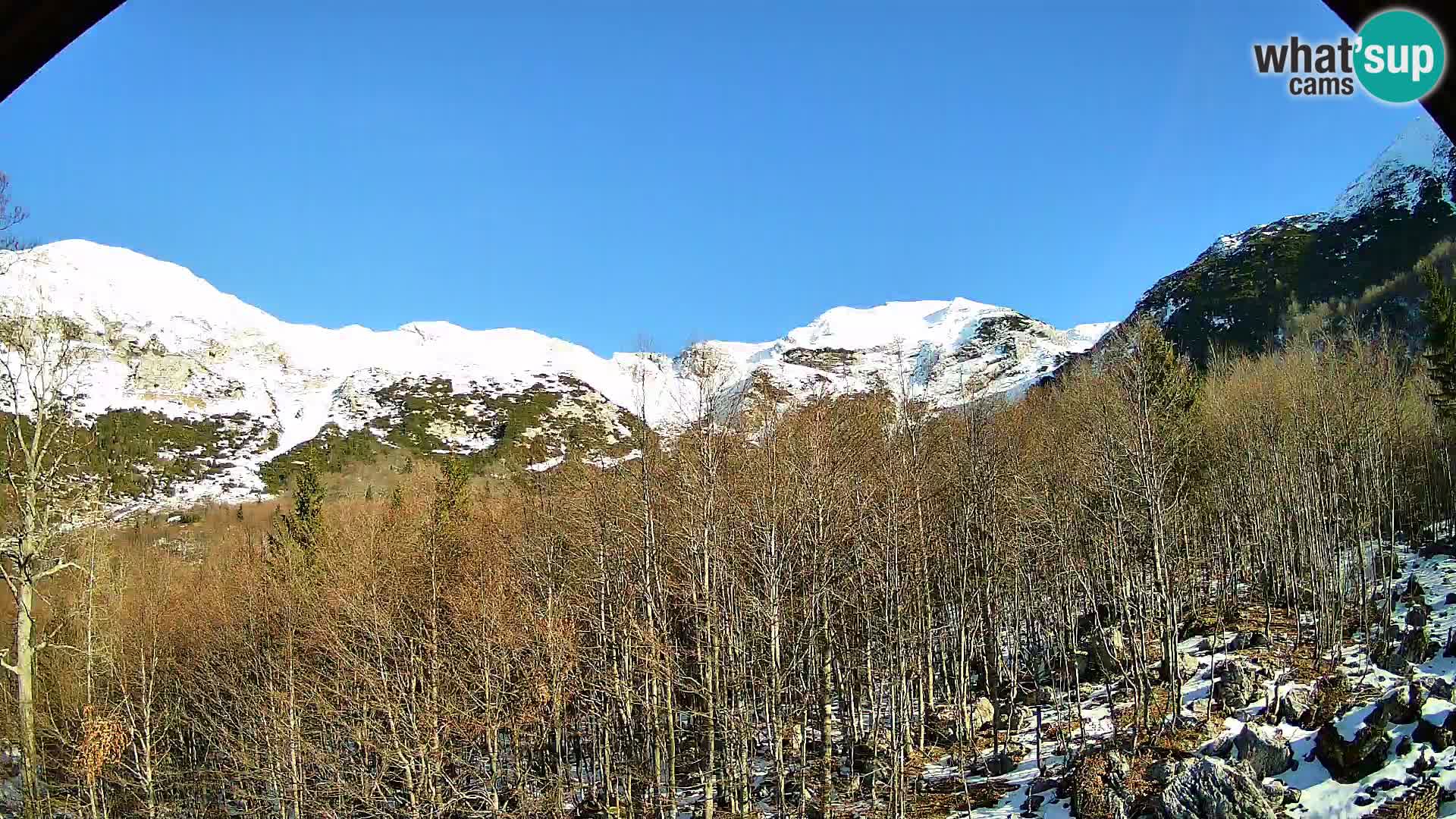 Webcam PLANINA RAZOR (1315) | Blick auf Vogel und Globoko