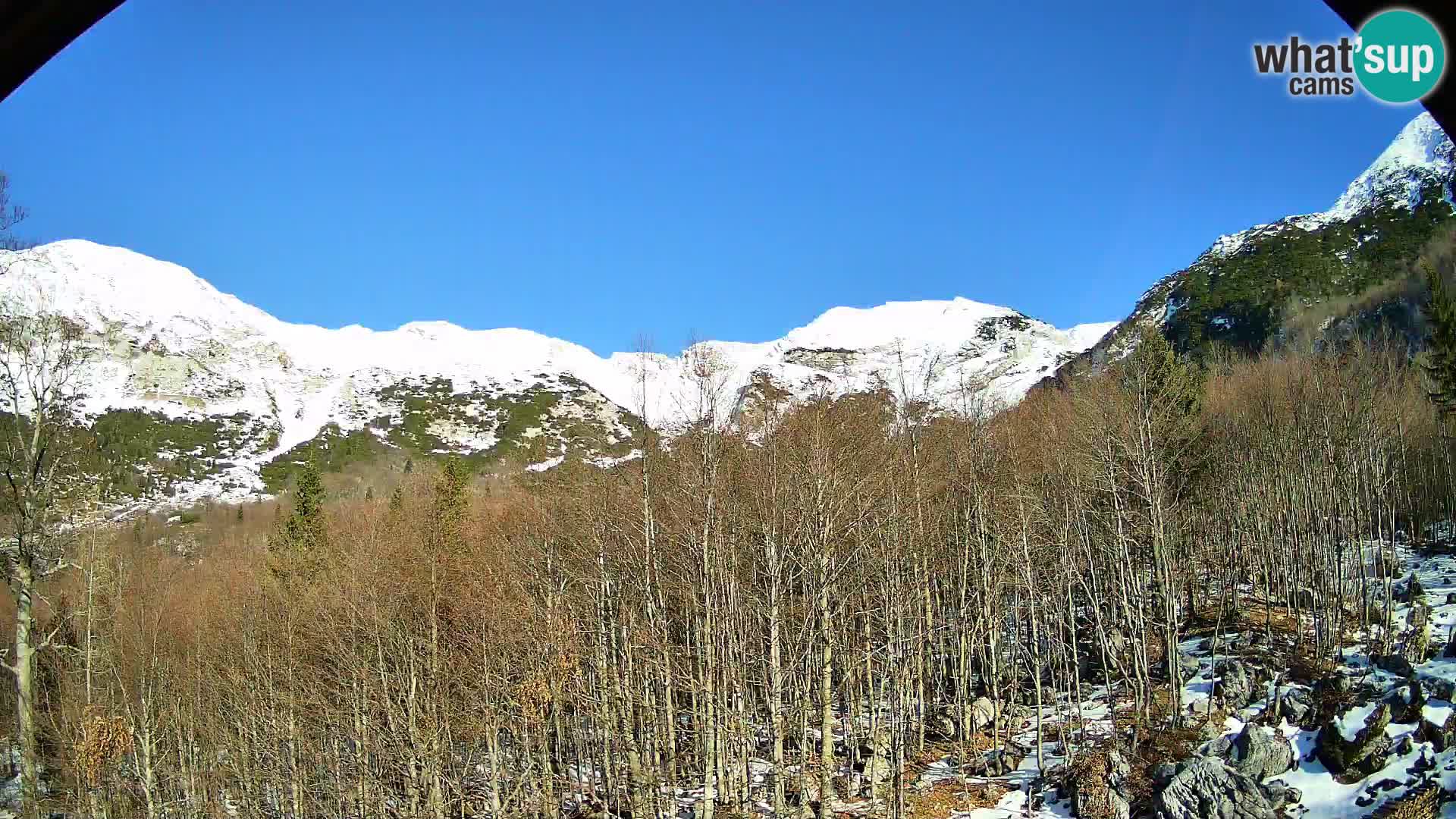 Cámara web PLANINA RAZOR (1315) | vista a Vogel y Globoko