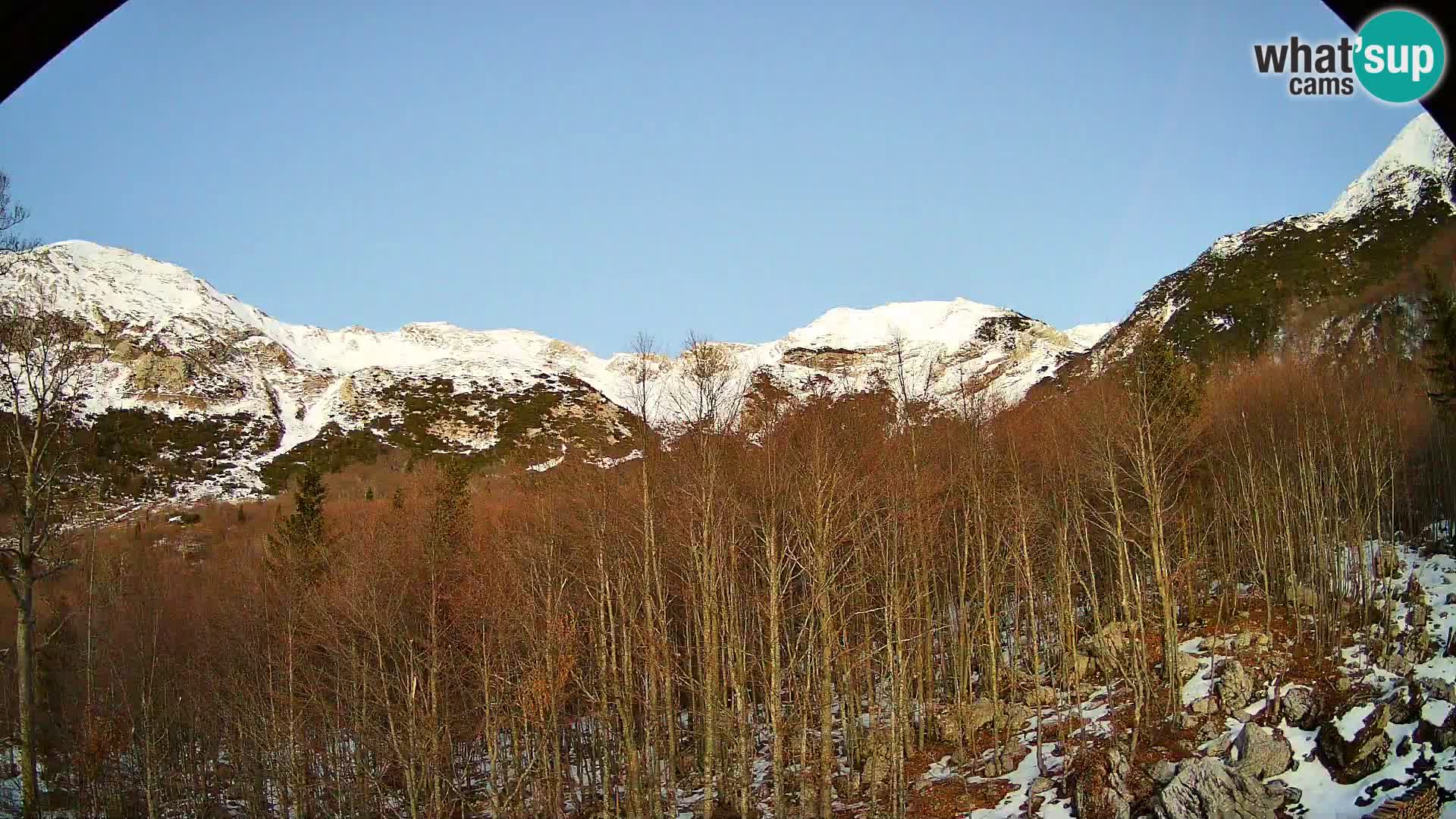 Livecam PLANINA RAZOR (1315) | vue sur Vogel et Globoko