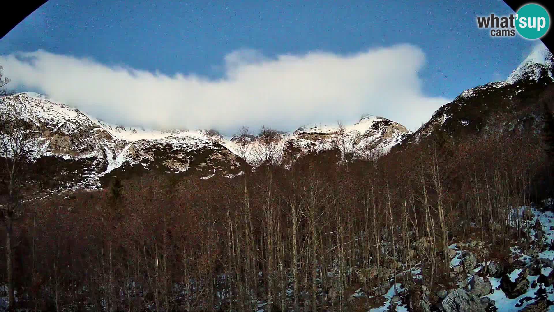 Cámara web PLANINA RAZOR (1315) | vista a Vogel y Globoko