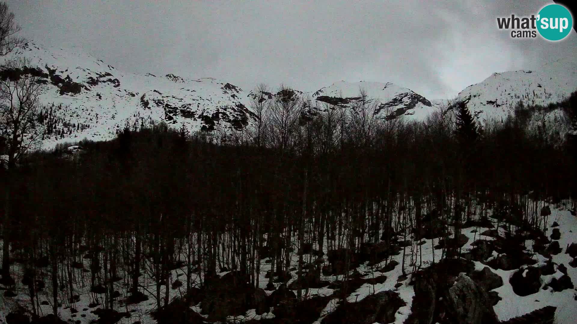 PLANINA RAZOR Live Cam (1315) | vista su Vogel e Globoko