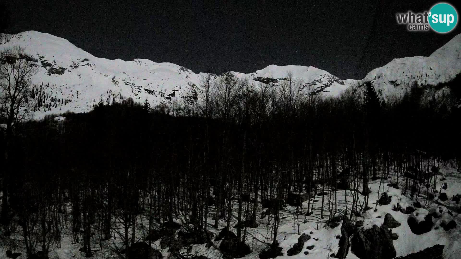 Webcam PLANINA RAZOR (1315) | Blick auf Vogel und Globoko
