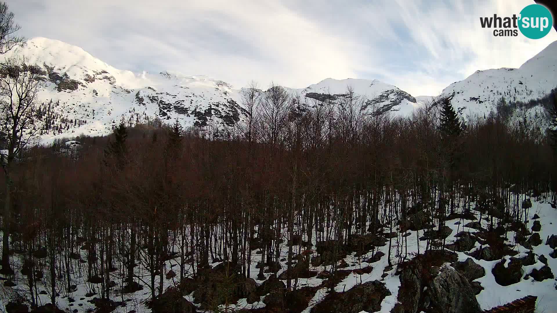Cámara web PLANINA RAZOR (1315) | vista a Vogel y Globoko