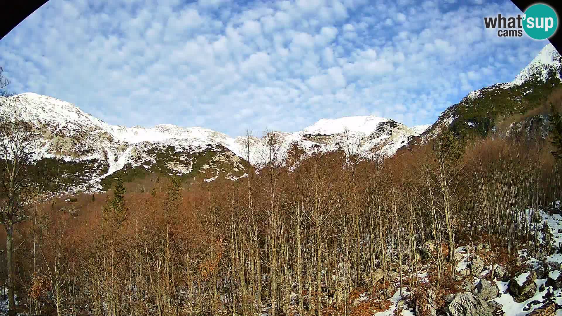 PLANINA RAZOR kamera (1315) | pogled na Vogel in Globoko