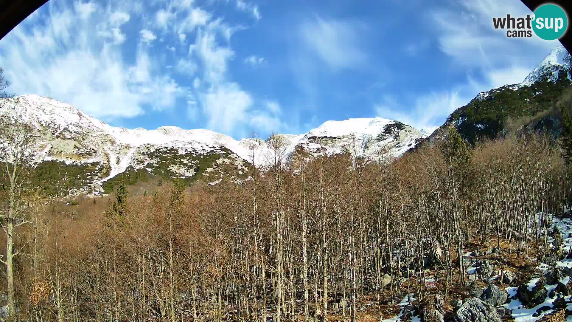 Webcam PLANINA RAZOR (1315) | Blick auf Vogel und Globoko