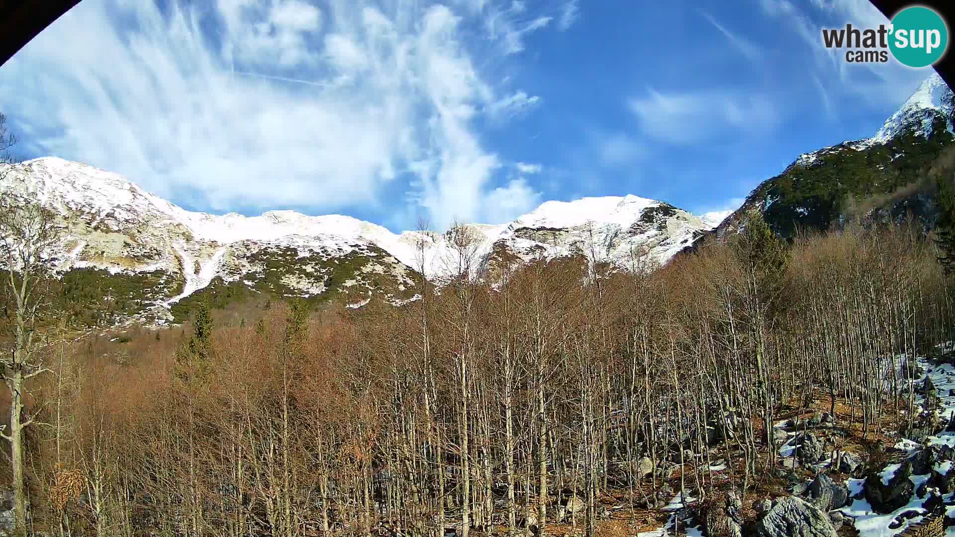Livecam PLANINA RAZOR (1315) | vue sur Vogel et Globoko