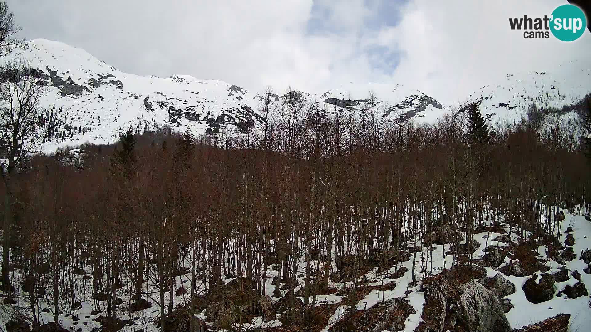 Cámara web PLANINA RAZOR (1315) | vista a Vogel y Globoko