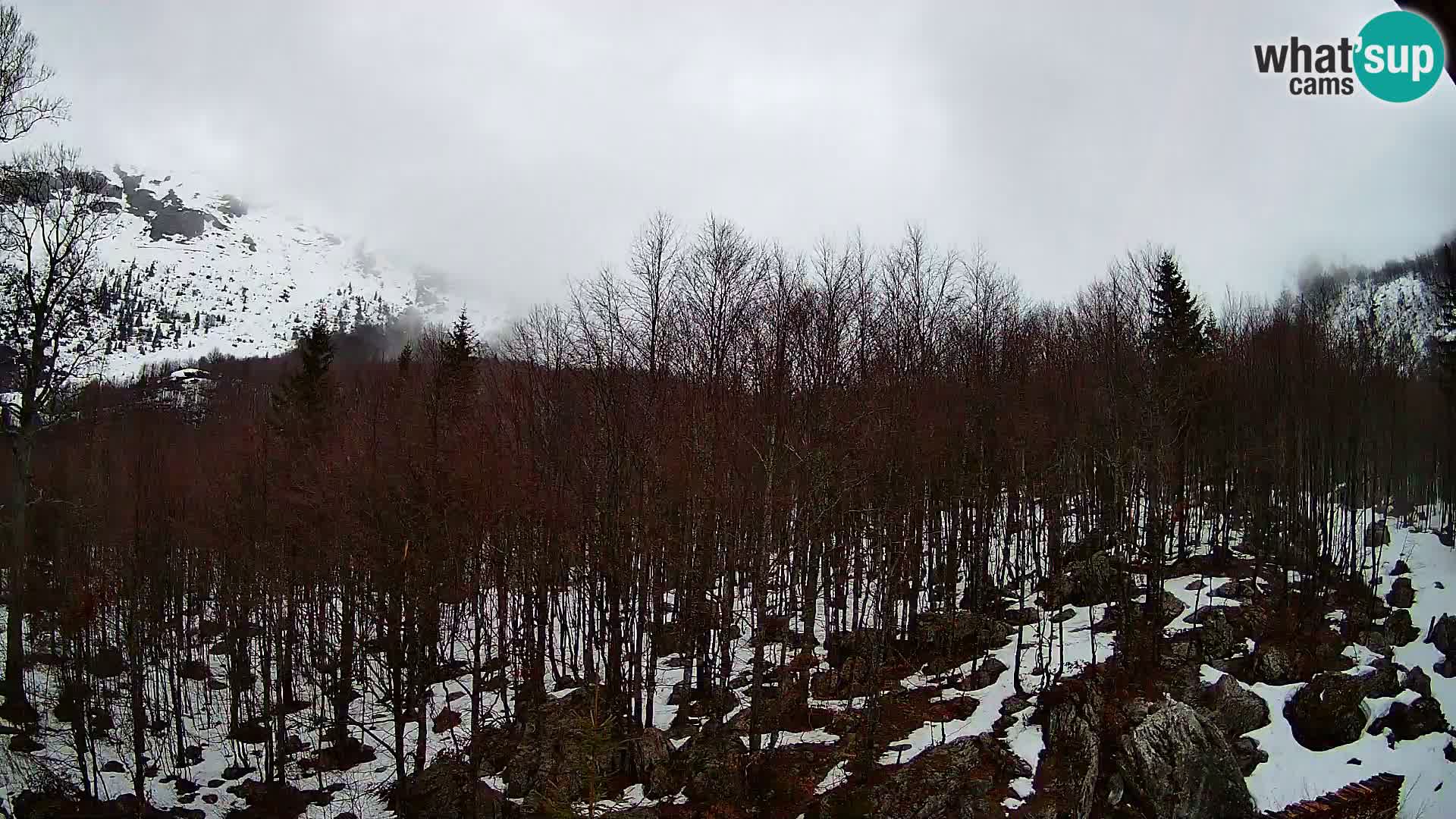PLANINA RAZOR Live Cam (1315) | vista su Vogel e Globoko