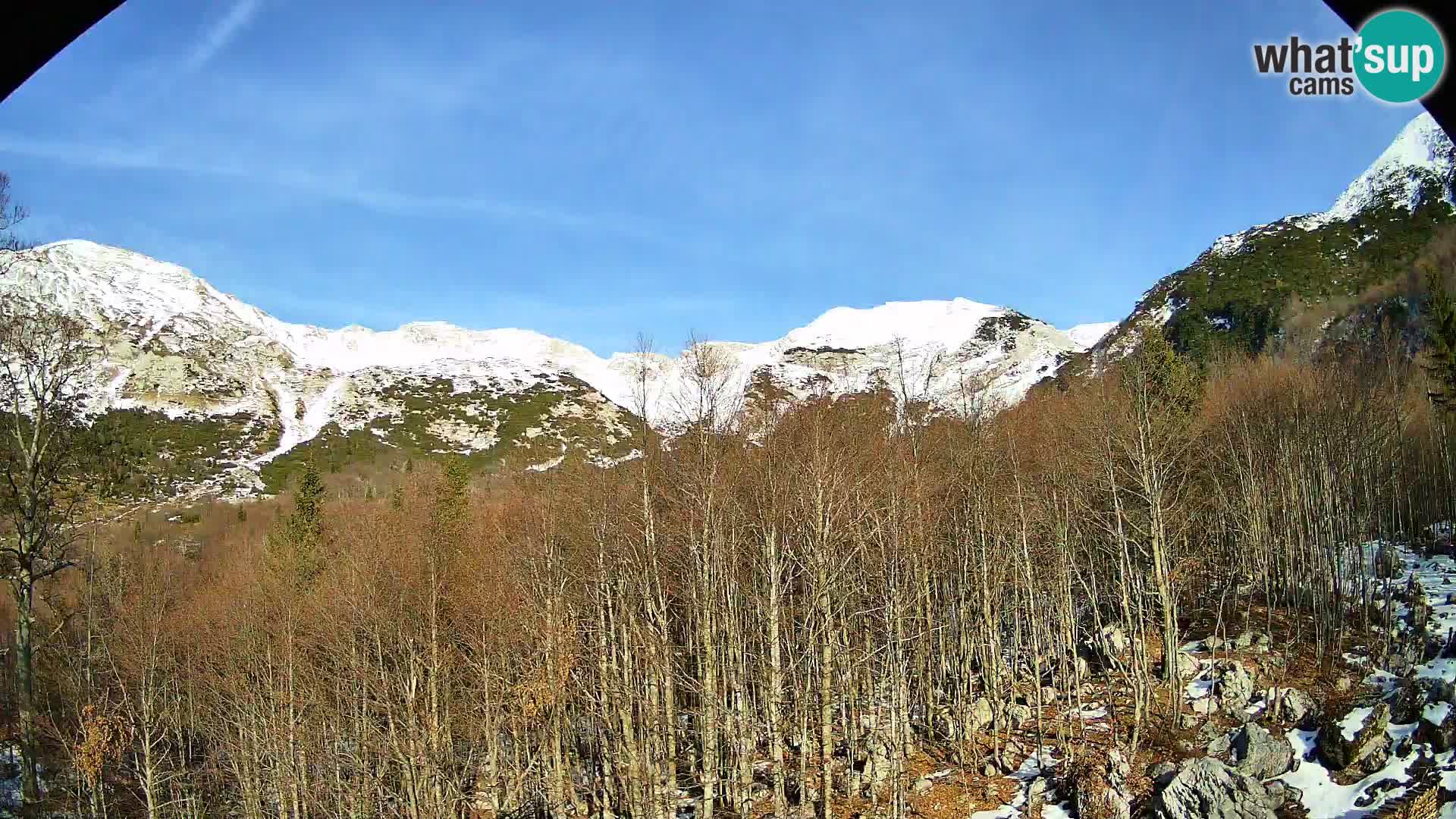 PLANINA RAZOR web kamera (1315) | pogled na Vogel i Globoko