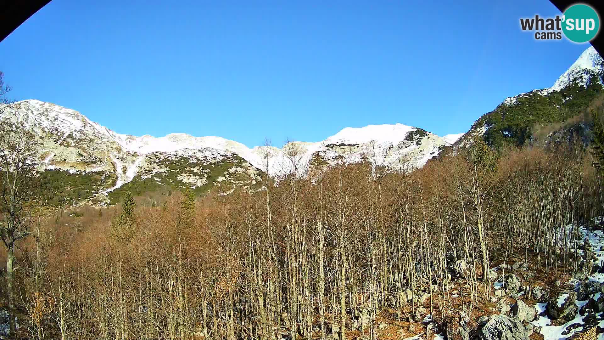 Webcam PLANINA RAZOR (1315) | Blick auf Vogel und Globoko