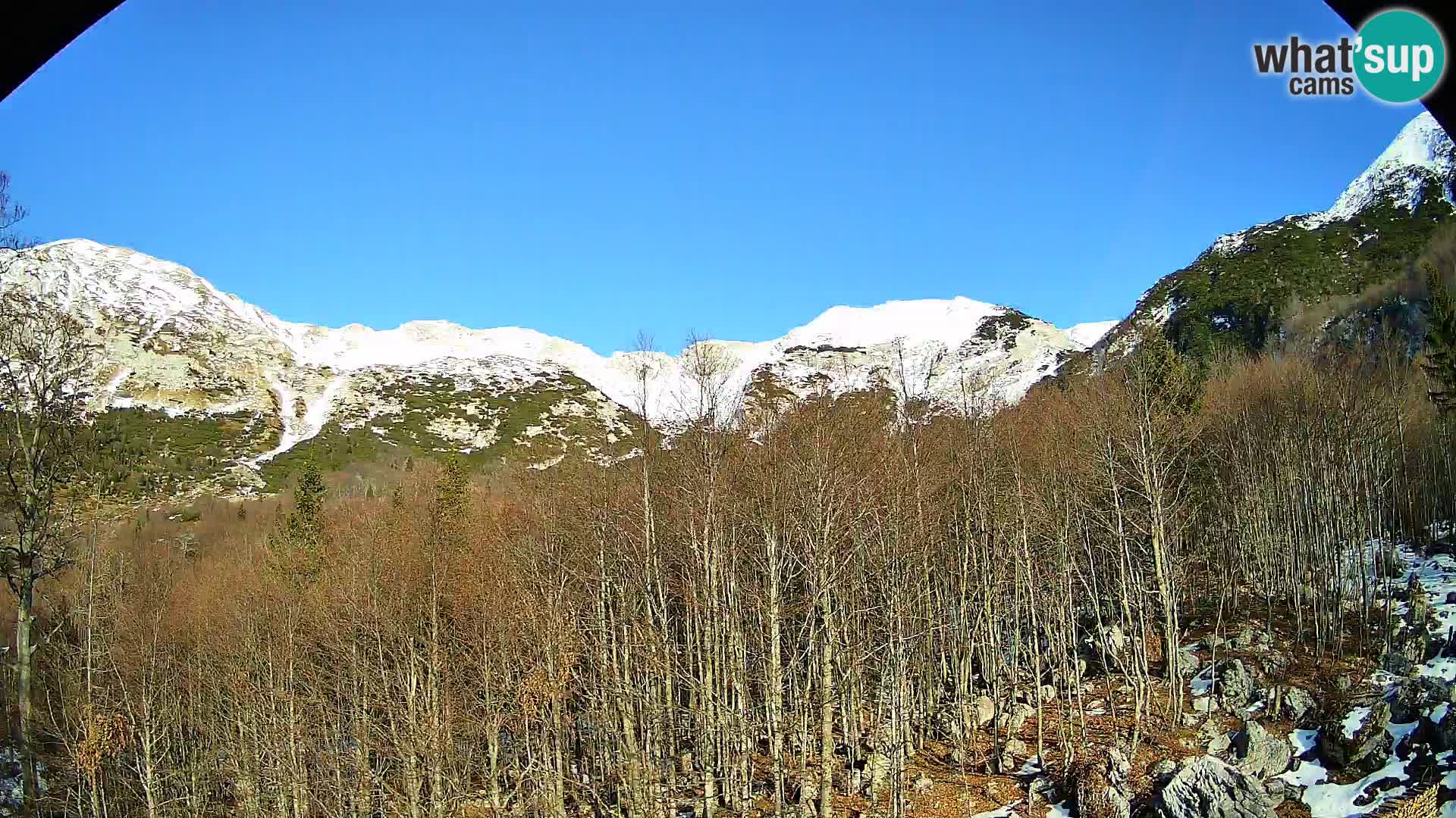 PLANINA RAZOR Live Cam (1315) | vista su Vogel e Globoko