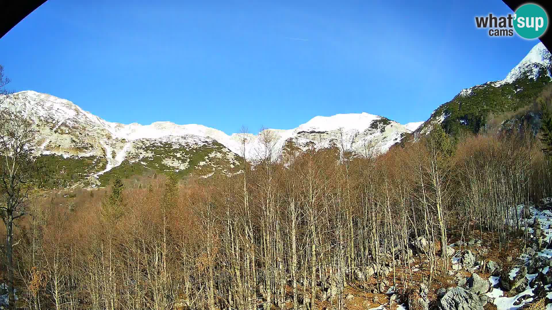 PLANINA RAZOR Live Cam (1315) | vista su Vogel e Globoko