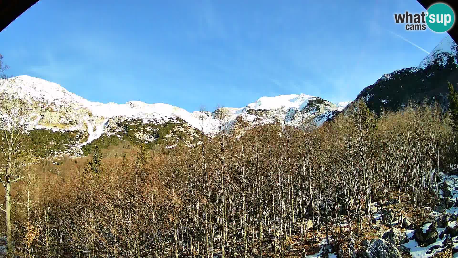 Cámara web PLANINA RAZOR (1315) | vista a Vogel y Globoko