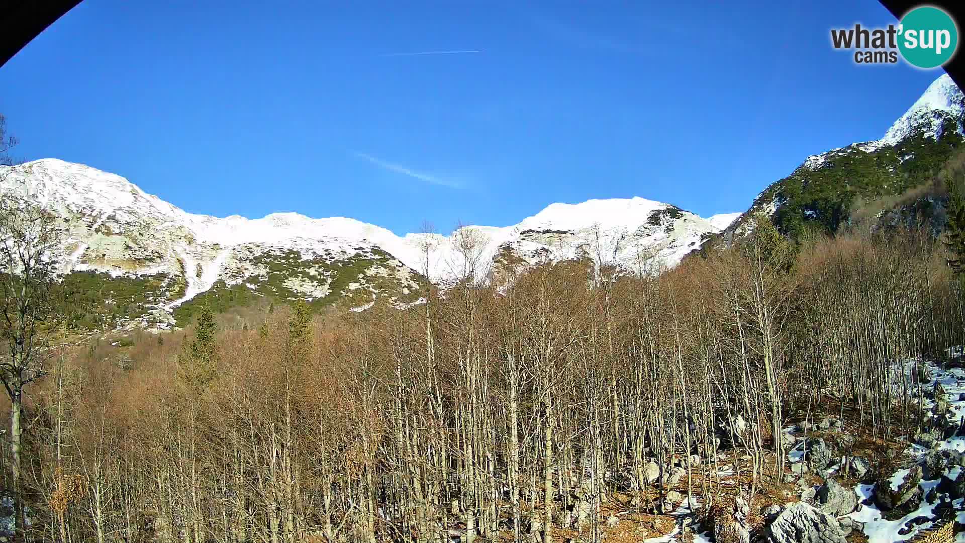 PLANINA RAZOR Live Cam (1315) | vista su Vogel e Globoko