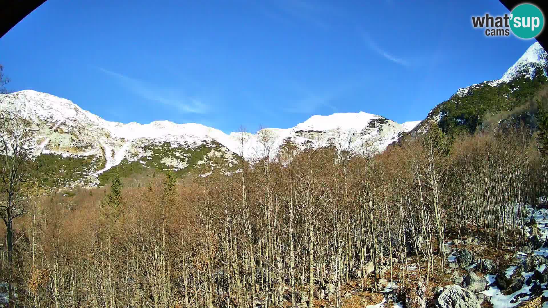 PLANINA RAZOR Live Cam (1315) | vista su Vogel e Globoko