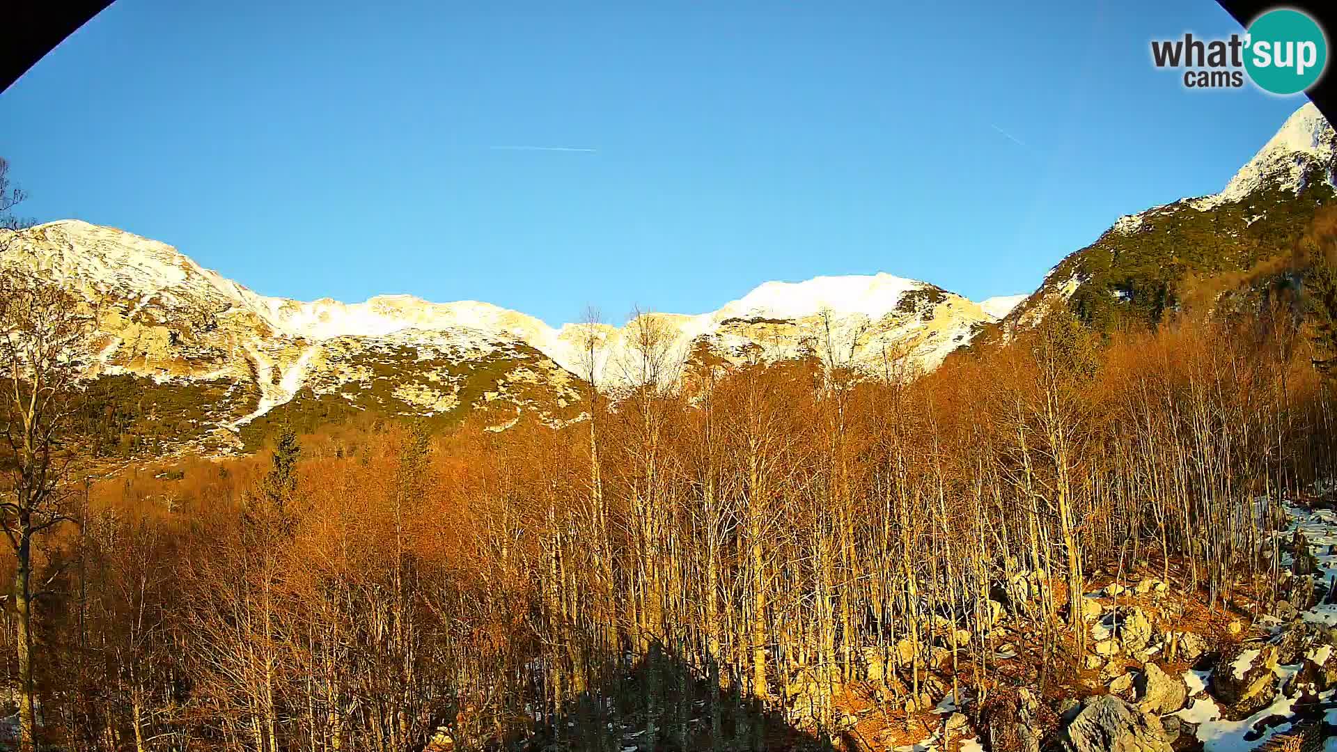 Webcam PLANINA RAZOR (1315) | Blick auf Vogel und Globoko