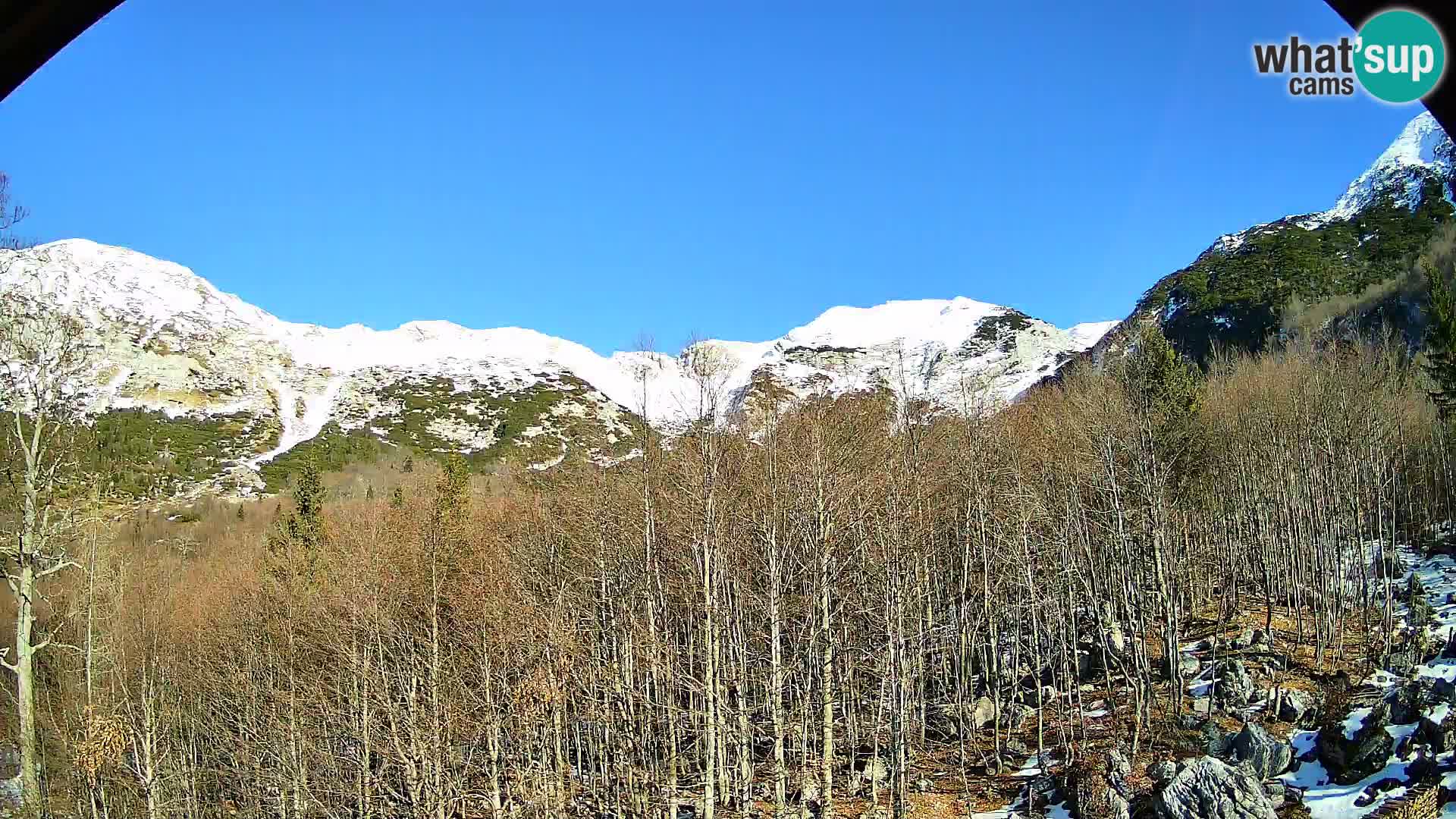 PLANINA RAZOR web kamera (1315) | pogled na Vogel i Globoko