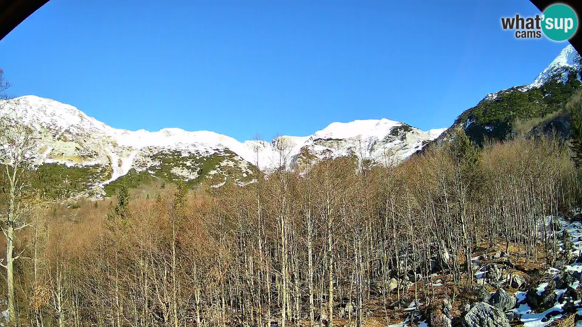 Webcam PLANINA RAZOR (1315) | Blick auf Vogel und Globoko