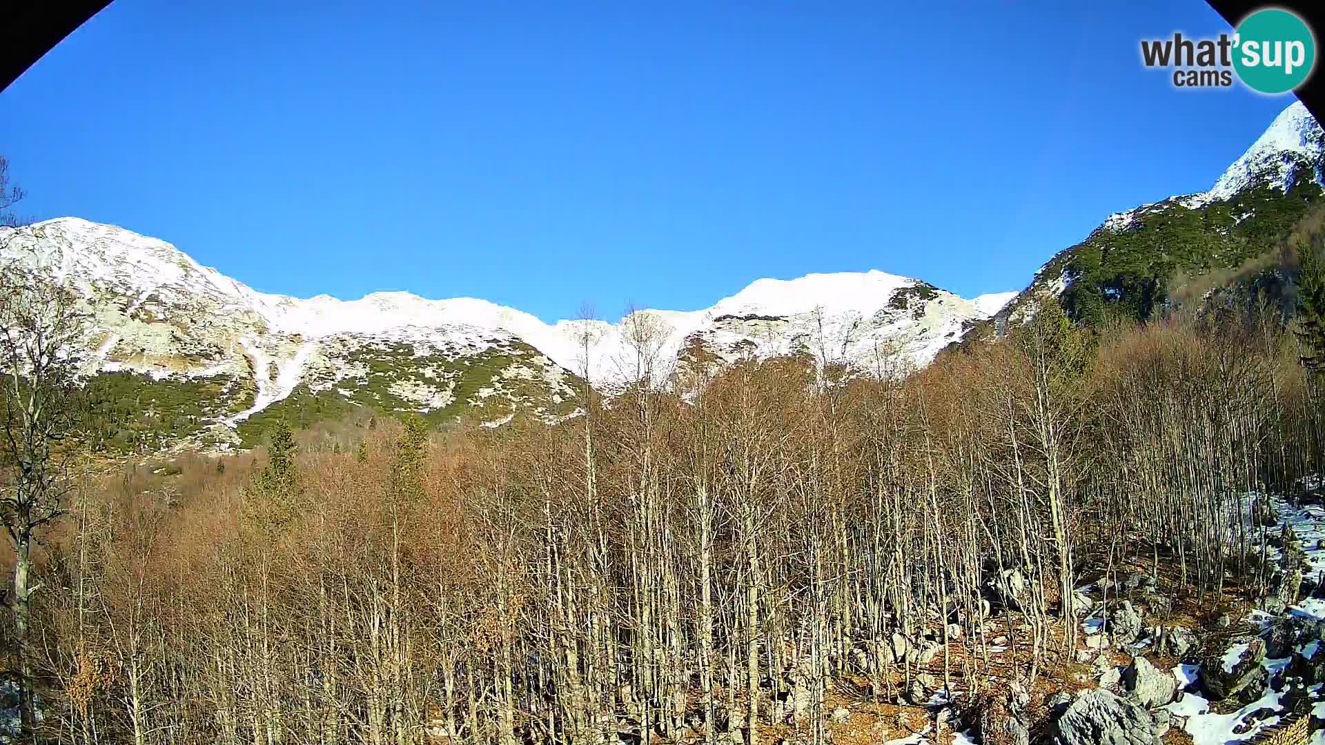 PLANINA RAZOR Live Cam (1315) | vista su Vogel e Globoko