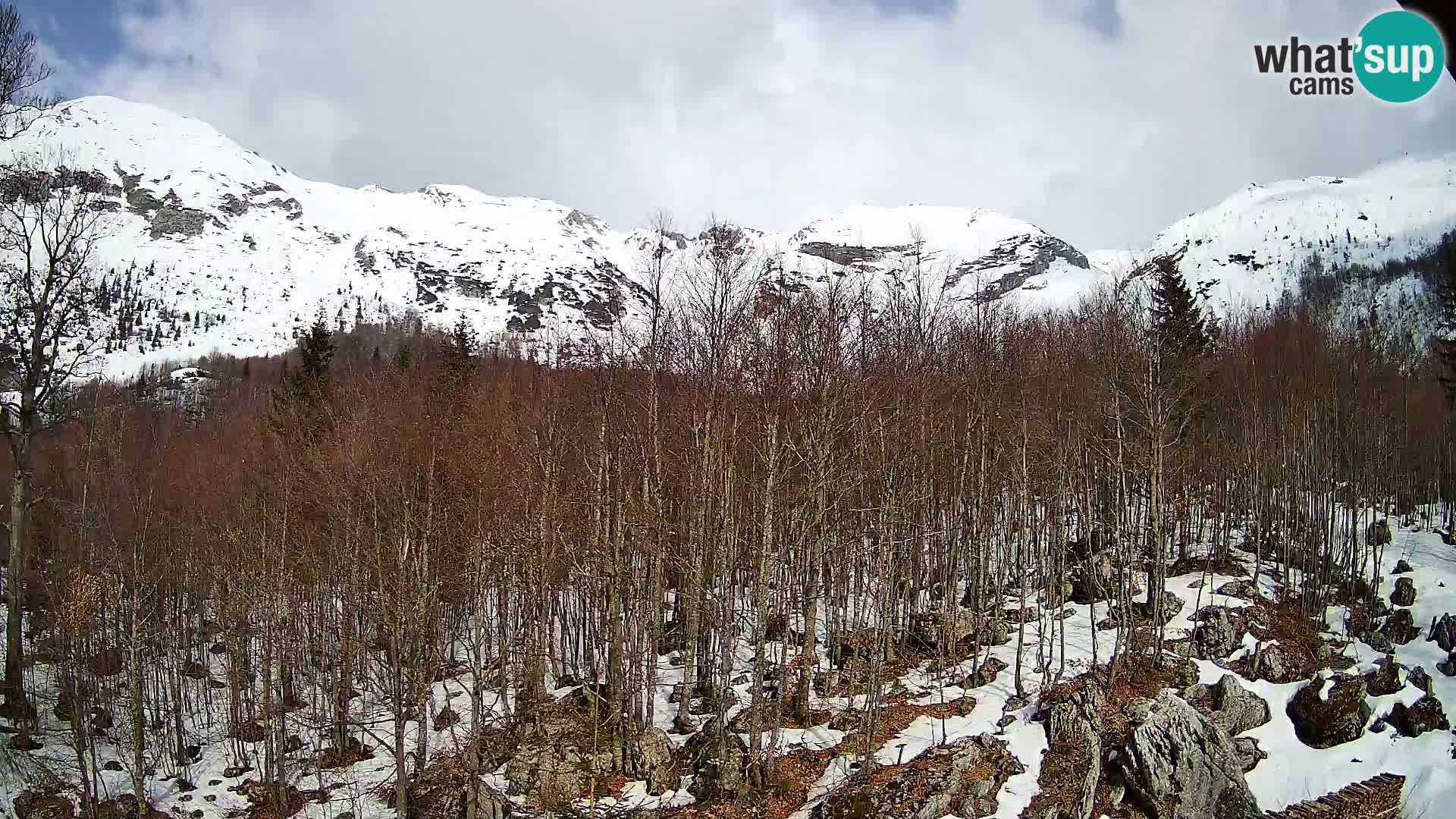 PLANINA RAZOR kamera (1315) | pogled na Vogel in Globoko