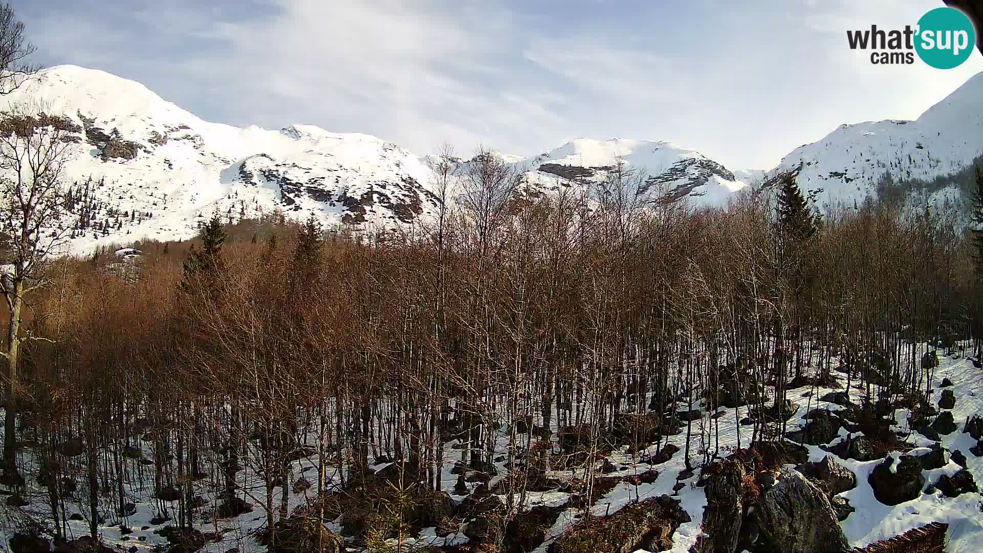 PLANINA RAZOR web kamera (1315) | pogled na Vogel i Globoko