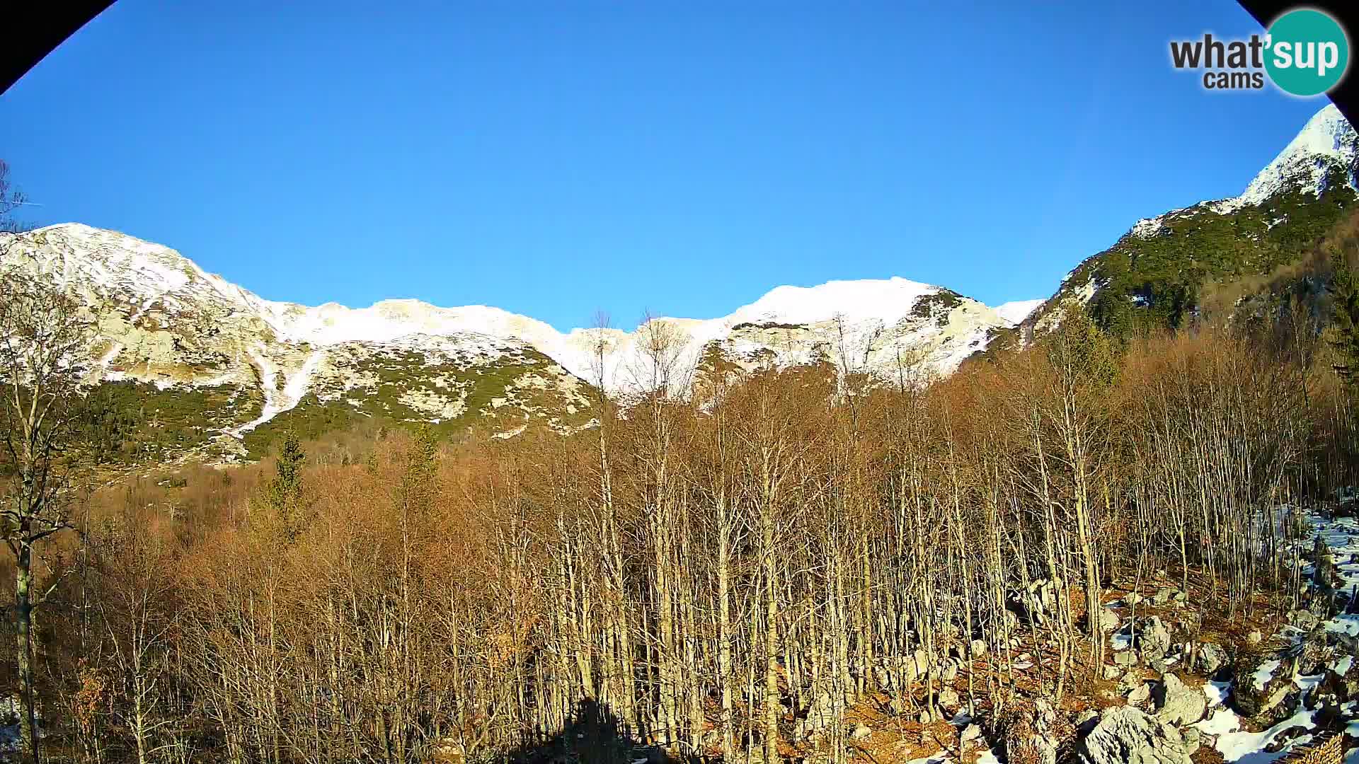 Livecam PLANINA RAZOR (1315) | vue sur Vogel et Globoko