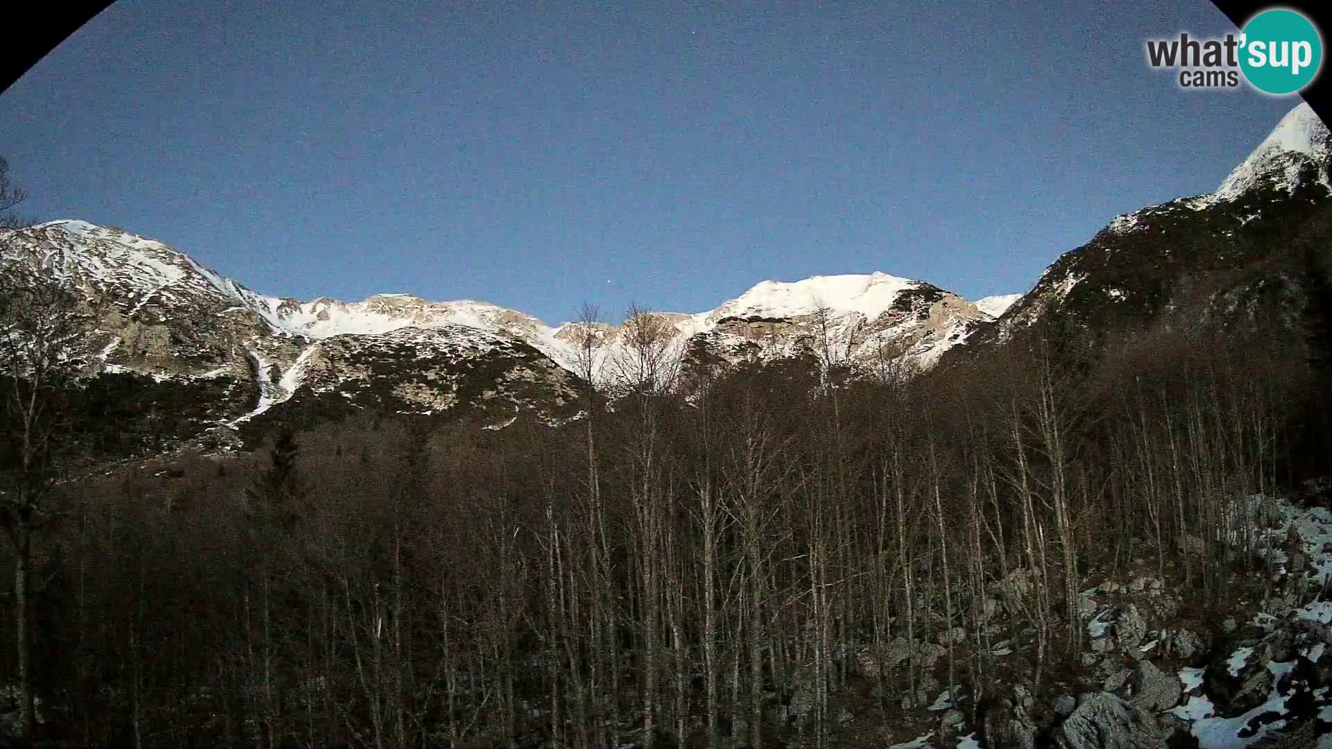 Webcam PLANINA RAZOR (1315) | Blick auf Vogel und Globoko