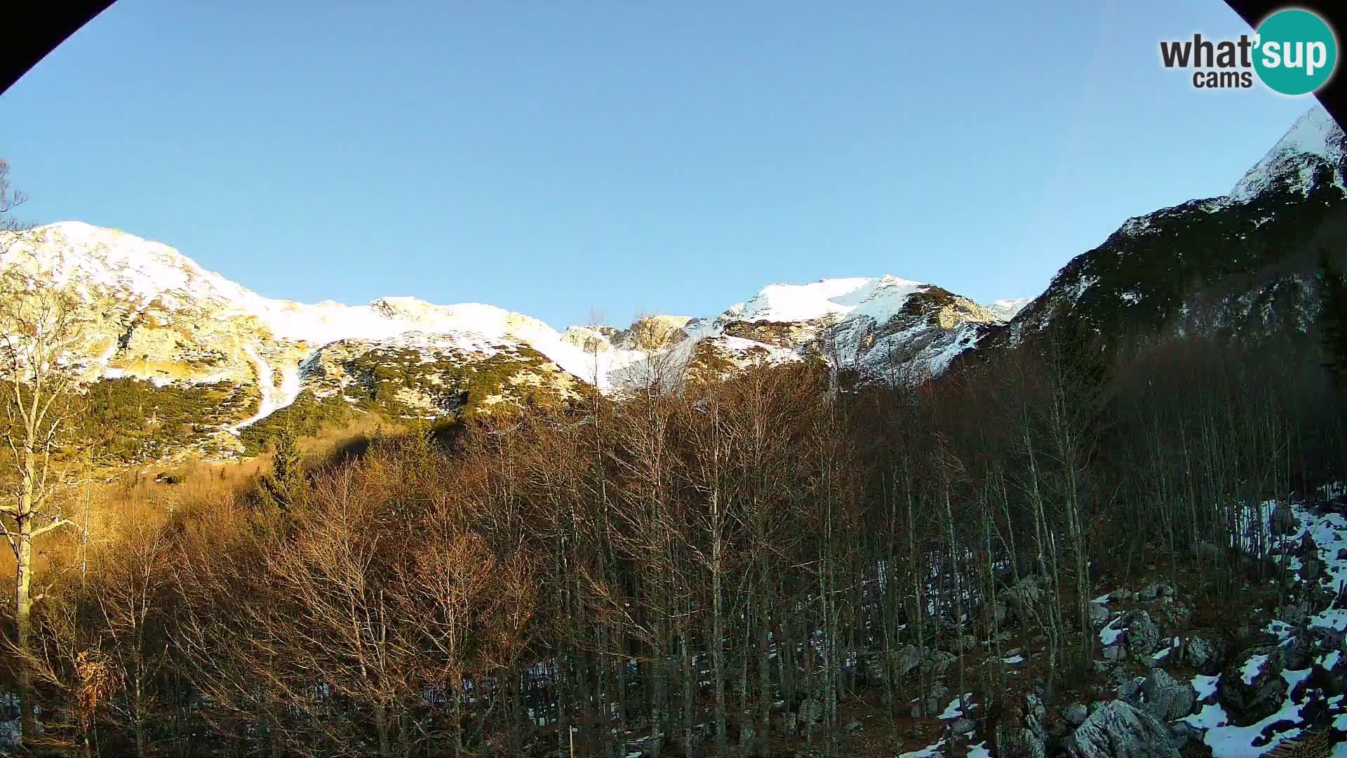Webcam PLANINA RAZOR (1315) | Blick auf Vogel und Globoko