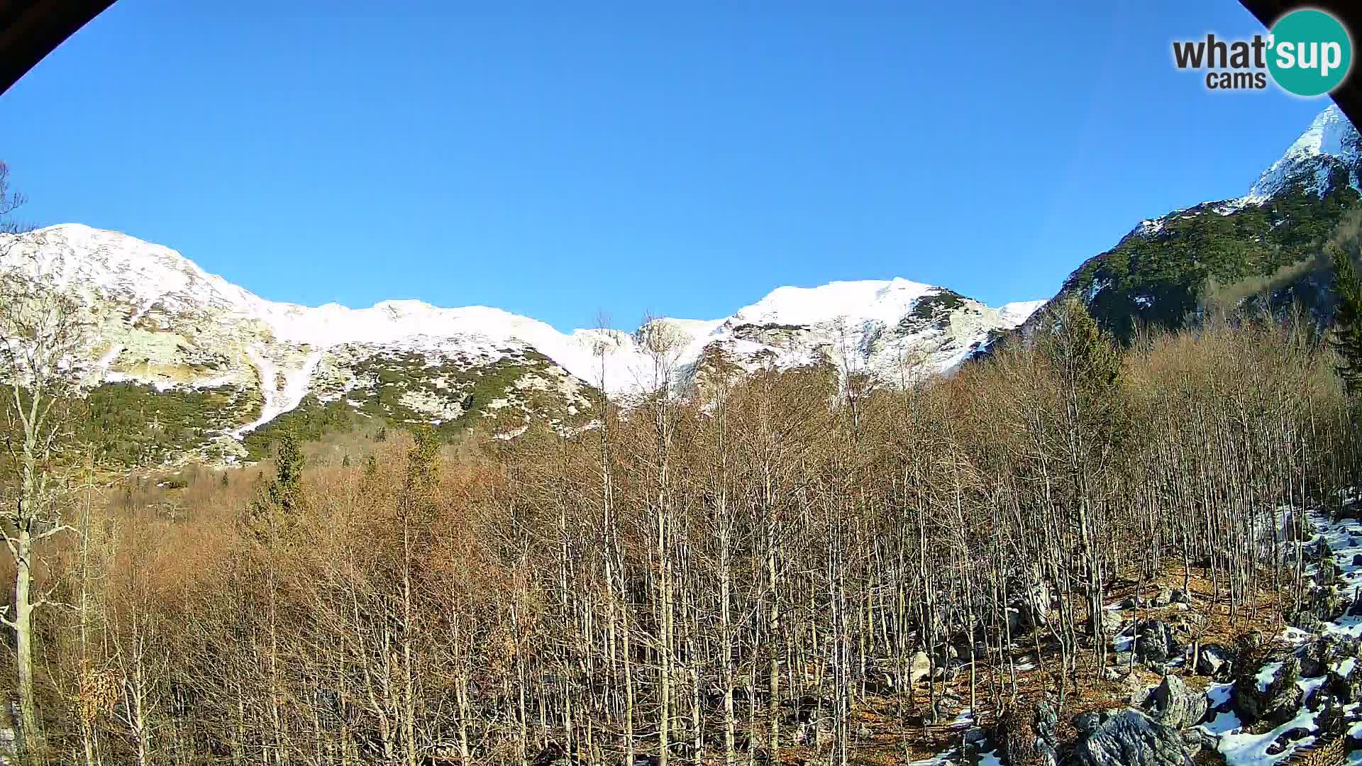 Webcam PLANINA RAZOR (1315) | Blick auf Vogel und Globoko