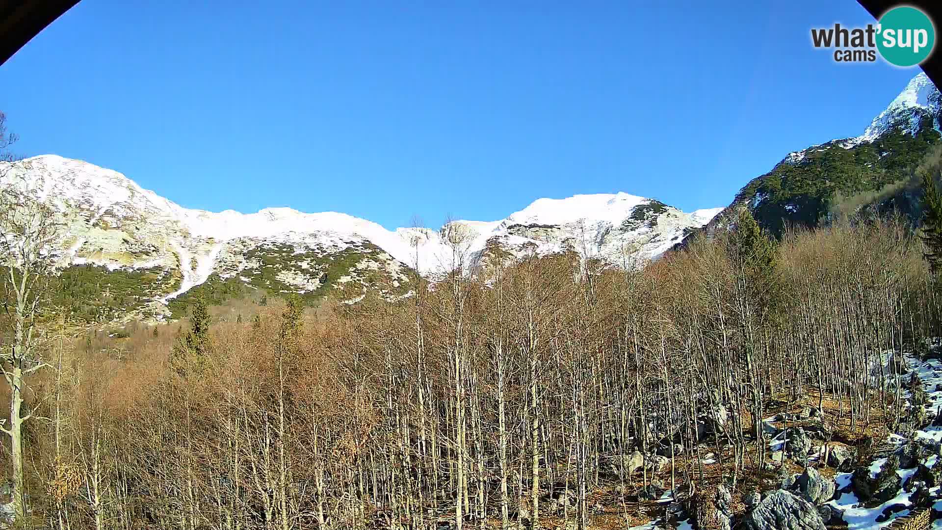 Cámara web PLANINA RAZOR (1315) | vista a Vogel y Globoko