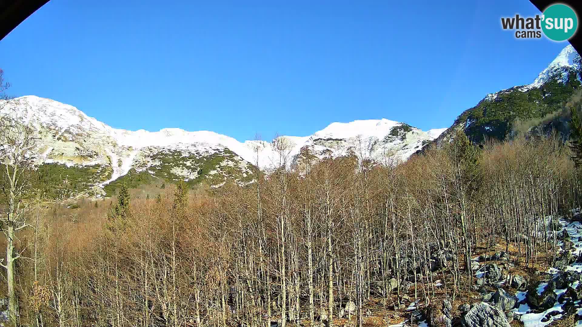 PLANINA RAZOR Live Cam (1315) | vista su Vogel e Globoko