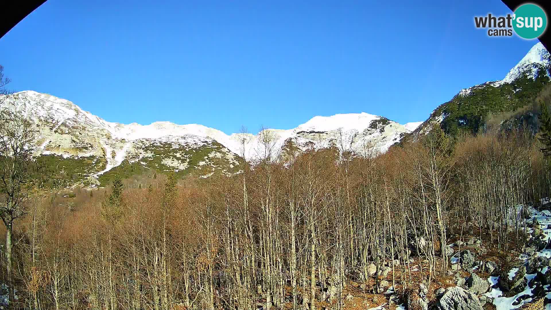 PLANINA RAZOR webcam (1315) | view to Vogel and Globoko