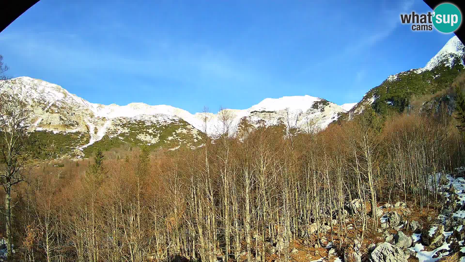 Livecam PLANINA RAZOR (1315) | vue sur Vogel et Globoko