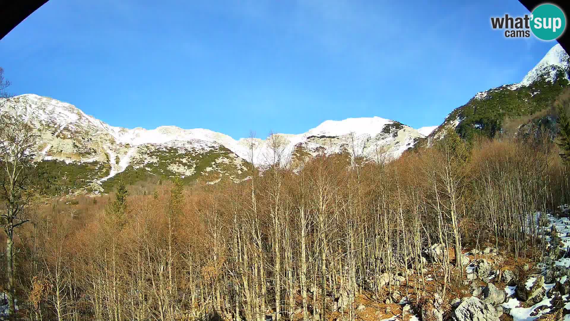 Webcam PLANINA RAZOR (1315) | Blick auf Vogel und Globoko
